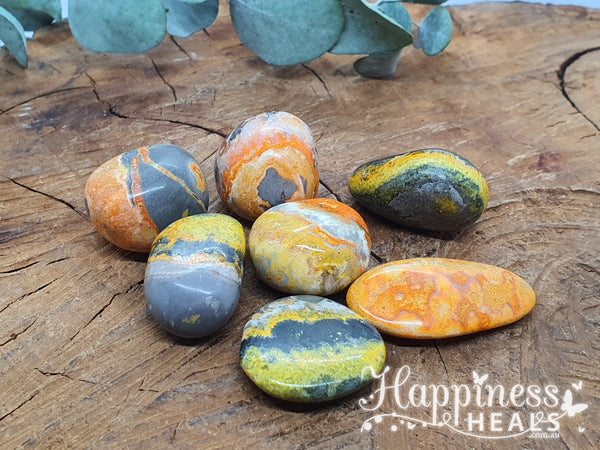 Bumble Bee Jasper (Tumbled)