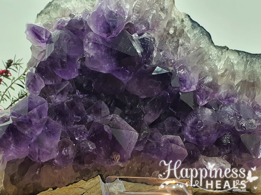 Amethyst Cluster