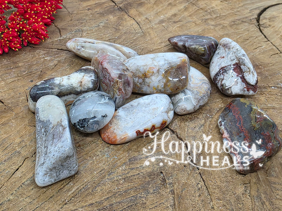 Crazy Lace Agate - large (Tumbled)- High Grade (Red Dot)