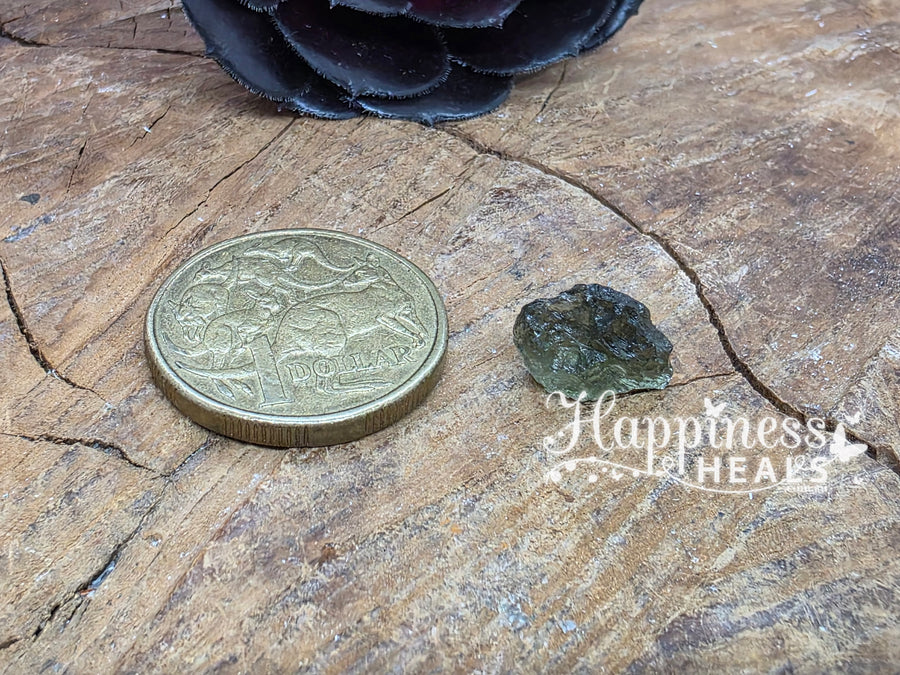 Moldavite Piece (Raw)