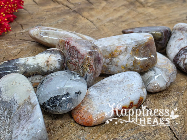 Crazy Lace Agate - large (Tumbled)- High Grade (Red Dot)