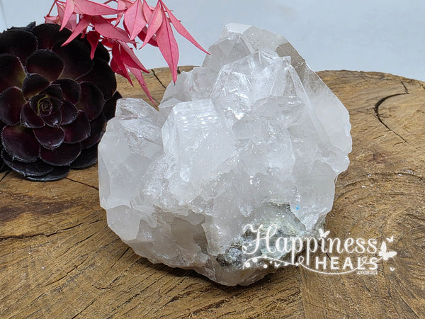 Clear Quartz Cluster ✨