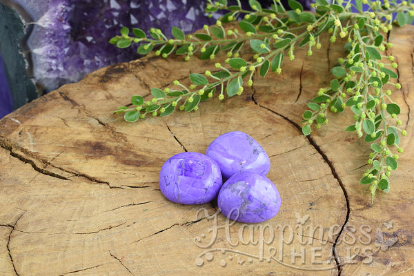 Purple Howlite (Tumbled)