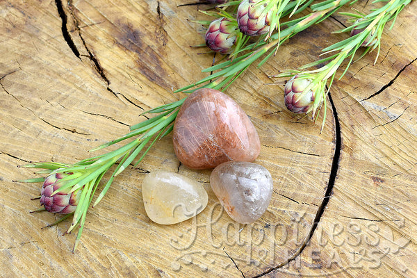 Rutilated Quartz (Tumbled)