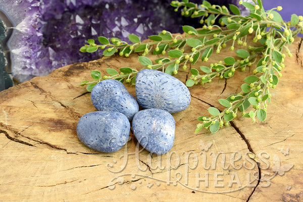 Blue Coral (Tumbled)
