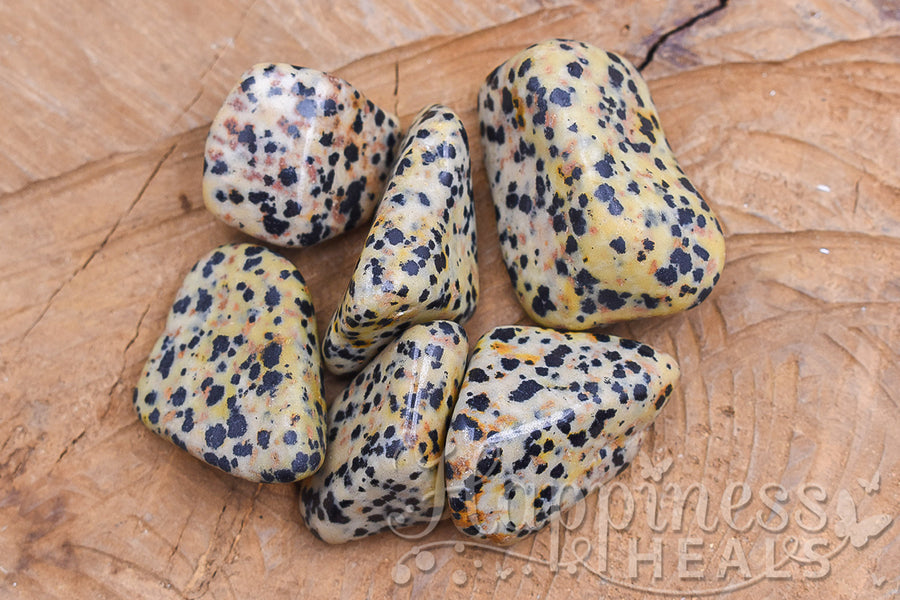 Dalmation Jasper (Tumbled)