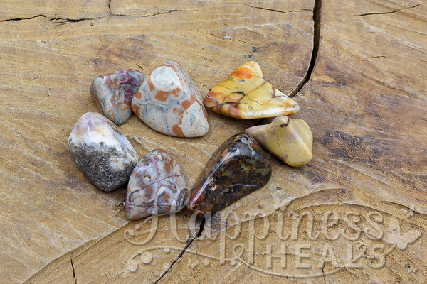 Rhyolite , Birds Eye Jasper Tumbled