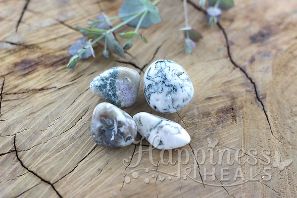 Tree Agate (Tumbled)
