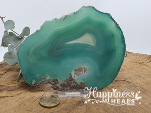 Agate Slice - Green