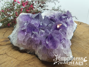 Amethyst Cluster