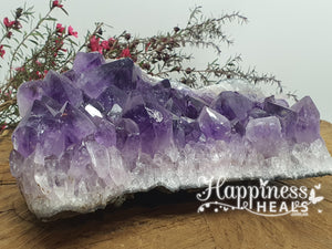 Amethyst Cluster