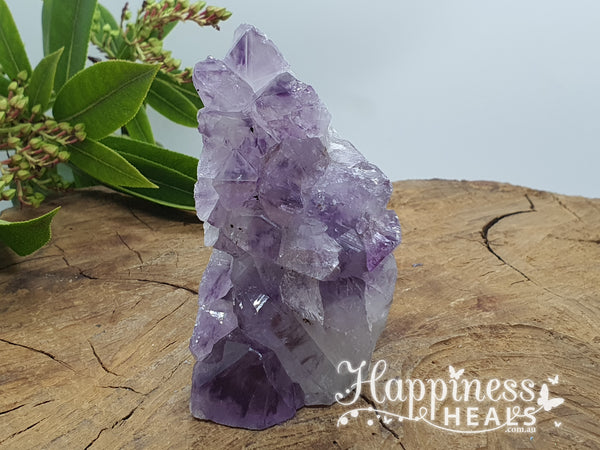 Amethyst Cluster