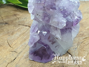 Amethyst Cluster