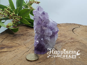 Amethyst Cluster