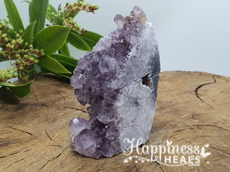 Amethyst Cluster