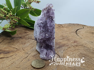 Amethyst Cluster