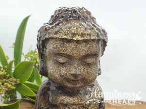 12.3cm Picture Jasper Buddha Statue: Tranquility in Stone