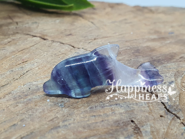 Rainbow Fluorite Dolphin