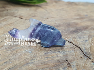 Rainbow Fluorite Dolphin