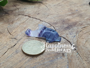 Rainbow Fluorite Dolphin