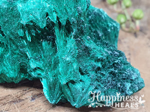 Malachite Velvet