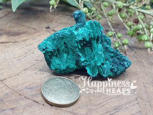 Malachite Velvet