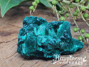 Malachite Velvet