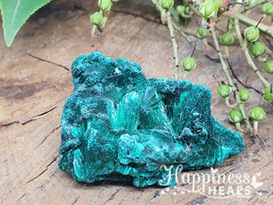 Malachite Velvet