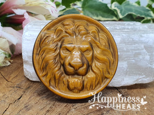 Tiger Eye Lion Coin