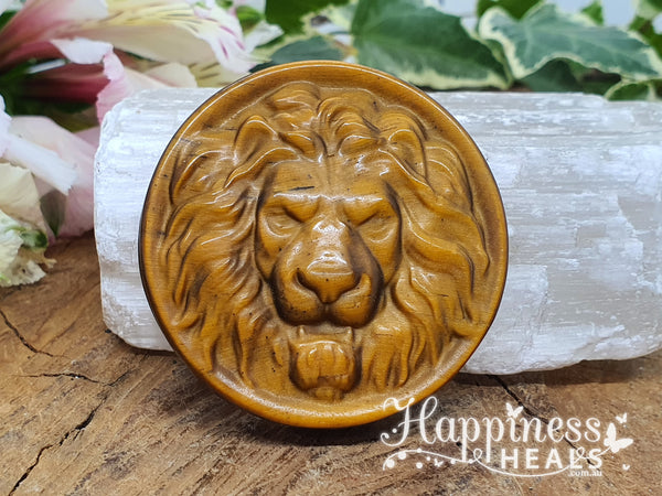 Tiger Eye Lion Coin