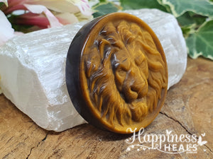 Tiger Eye Lion Coin