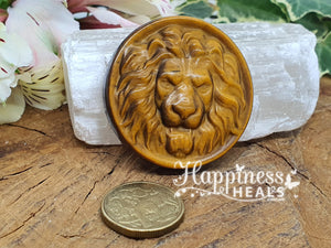Tiger Eye Lion Coin