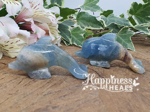 Blue Onyx Dolphins