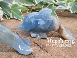 Blue Onyx Dolphins