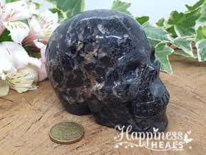 Black Tourmaline Skull