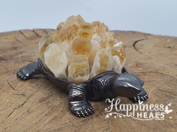 Turtle Citrine Cluster