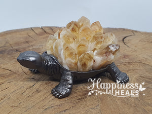 Turtle Citrine Cluster