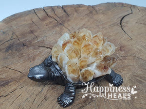 Turtle Citrine Cluster