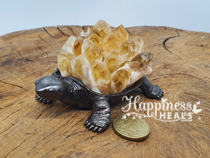 Turtle Citrine Cluster