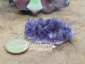 Amethyst Cluster