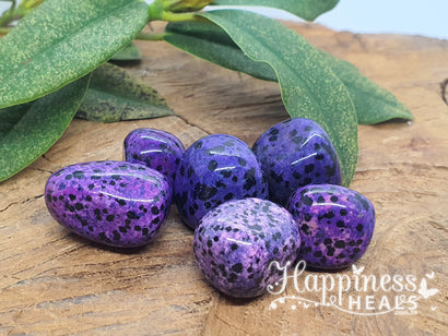 Dalmation Jasper (Tumbled) - Purple / $4.50