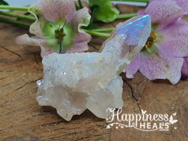 Angel Aura Cluster