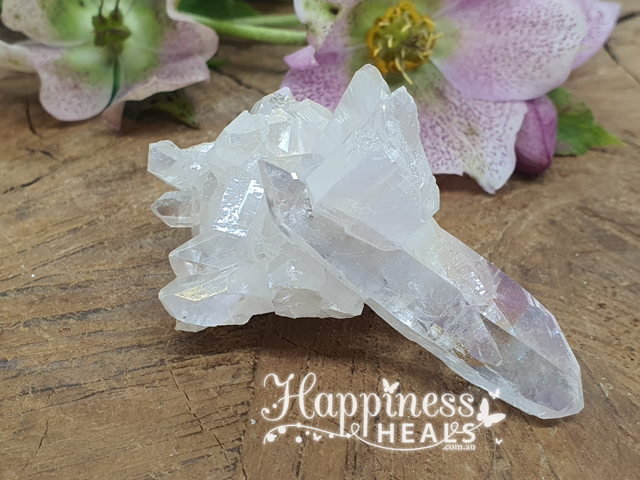 Angel Aura Cluster