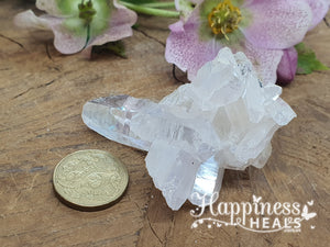 Angel Aura Cluster