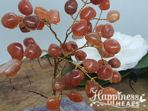 Carnelian With Amethyst Cluster Base Tree