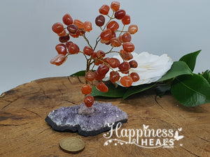 Carnelian With Amethyst Cluster Base Tree