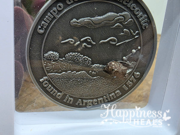 Campo del Cielo Meteorite Specimen – #0094 ☄️