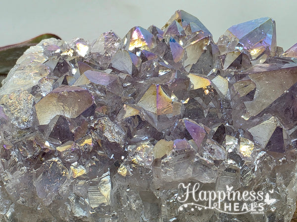 Amethyst Aura Cluster