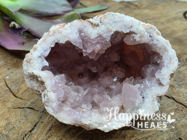 Pink Amethyst Geode