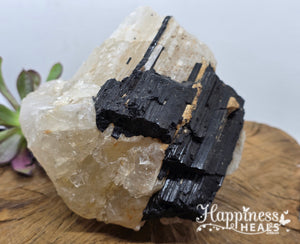 Tourmaline on Quartz – Protection Meets Power